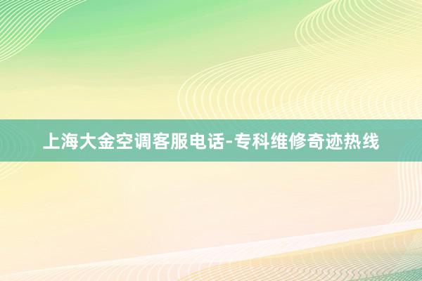 上海大金空调客服电话-专科维修奇迹热线